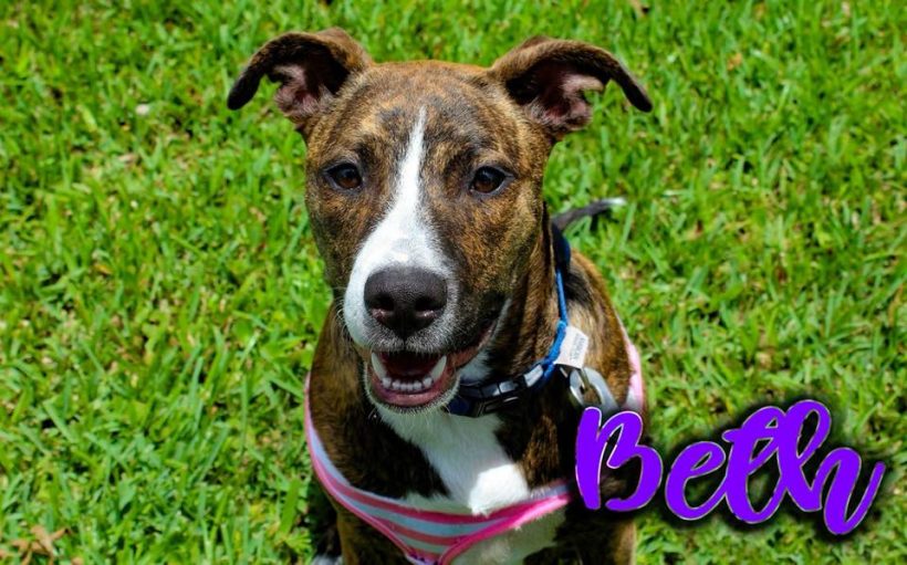 Beth (ADOPTED!!!)